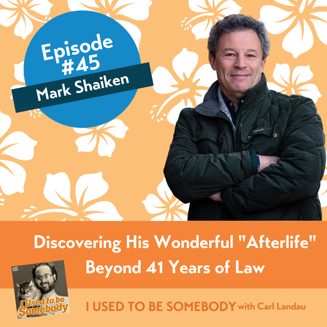 Episode cover art